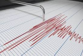 Strong quake rocks Tonga
